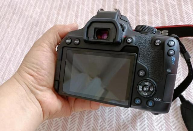 相机|佳能相机哪个性价比高？盘点850D的过人之处