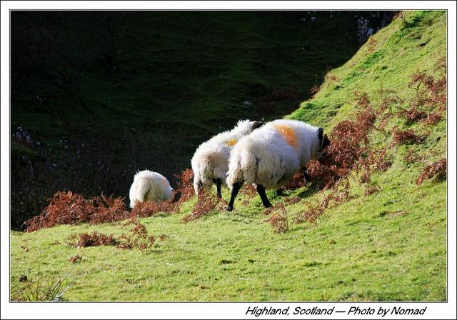 欧洲|在斯凯岛上穿苏格兰裙跳舞，欣赏欧洲最富传奇色彩的小岛风情