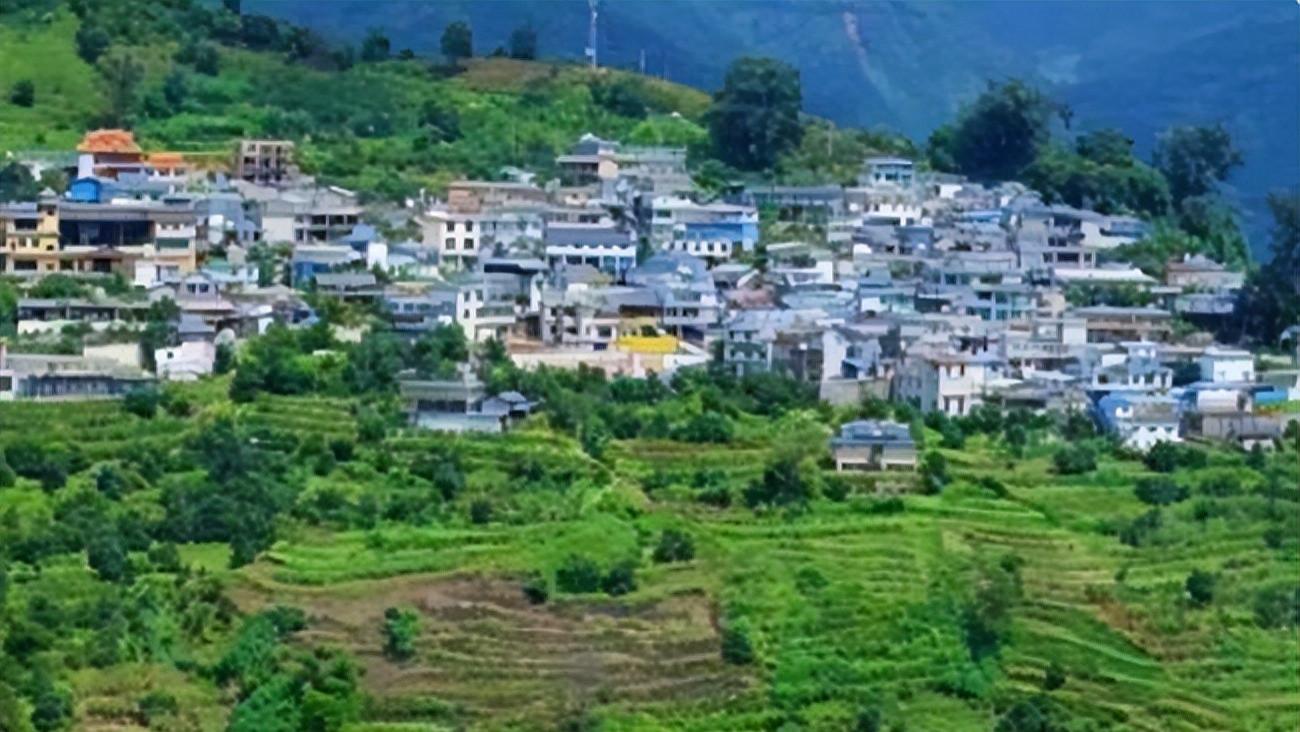 云南|大山深处的“云南第一村”冰岛村，人口不到300人，有6万株古茶树
