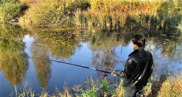 |秋季真的是钓鱼的好季节?其实都是鲫鱼引起的误会