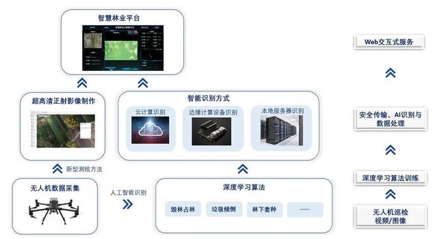 美团|“互联网+林业”在浦东照进现实！人工智能赋能林业管护，还有望融入元宇宙