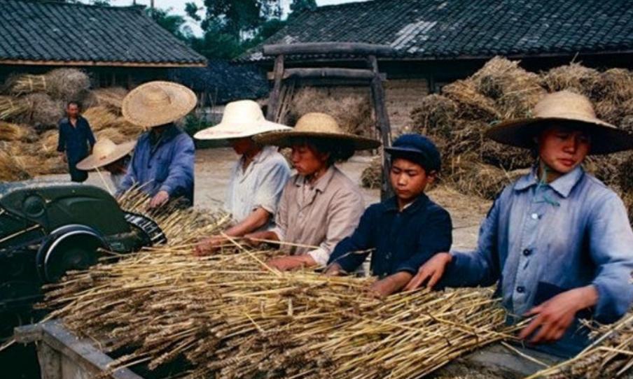 陕西悍匪董震遭人欺负35年,父母被害后起身反抗,一夜将仇家灭门
