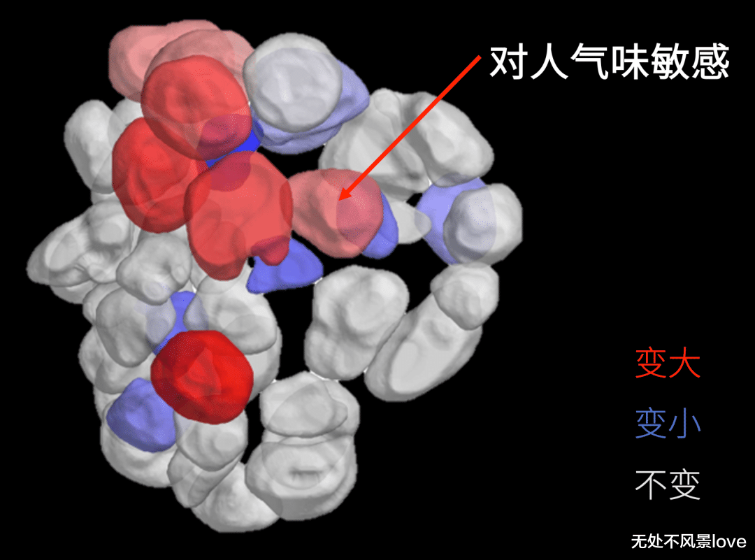 博士用自己的血一天喂3000只蚊子,终一作发Nature揭示“蚊子怎么只咬你”