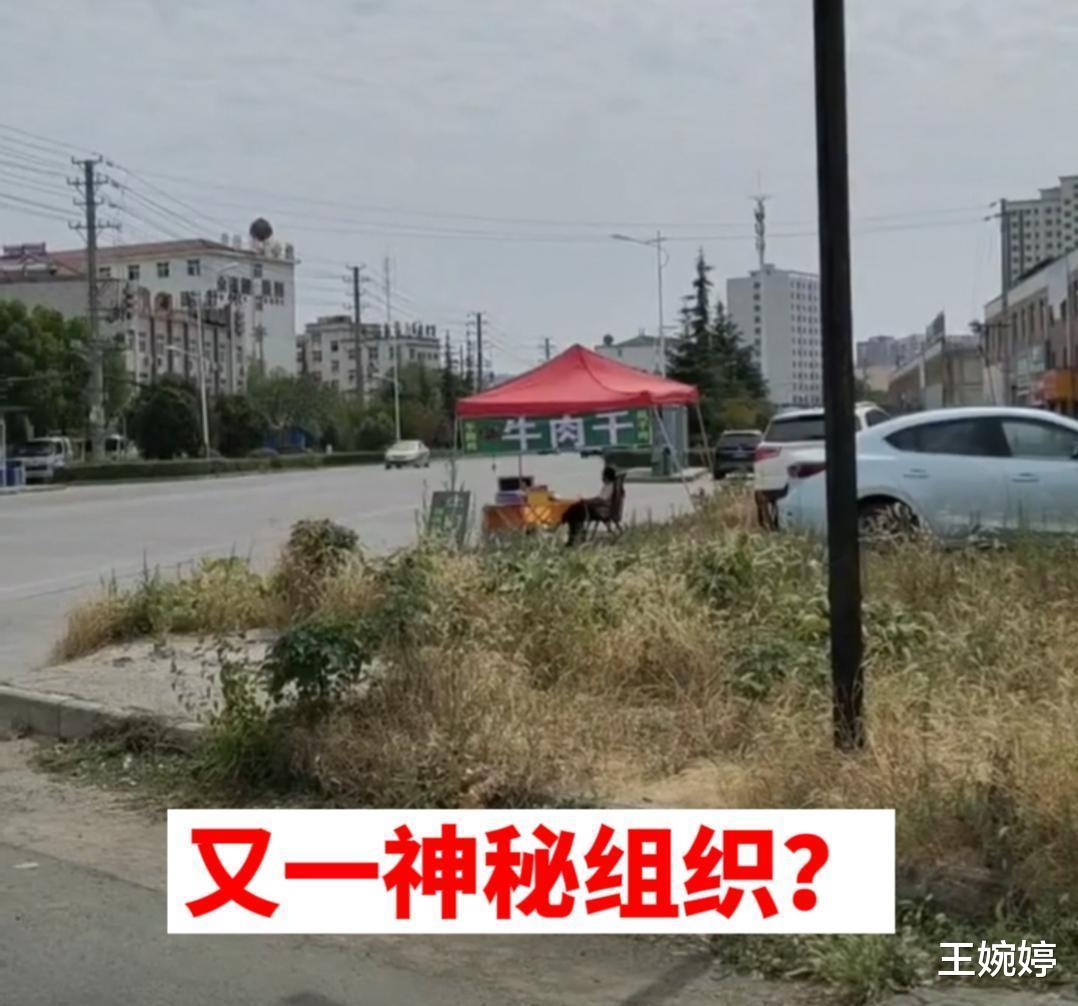 河南网友追踪“蒙古牛肉干”摊,探寻神秘面纱,结果:真没事