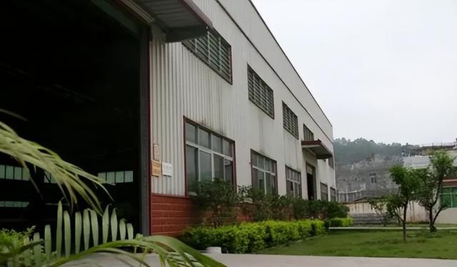 女子侵吞公款946万,事发后掐死7岁儿子,遗书:我怕他受欺负