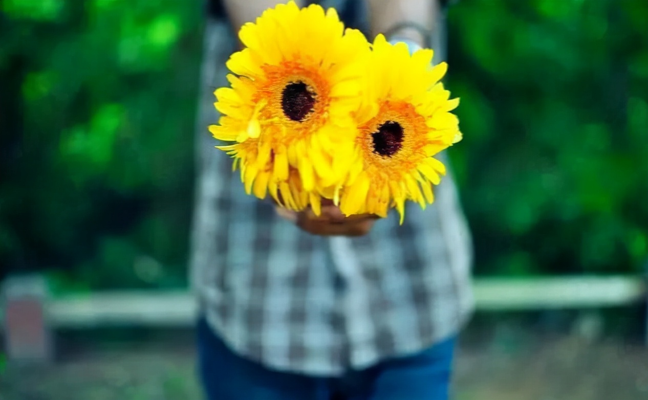 文种|人过五十,做一个有城府的人