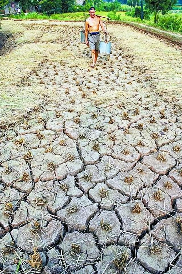 路人甲|重庆一家11口找溶洞去避暑，9人失联！