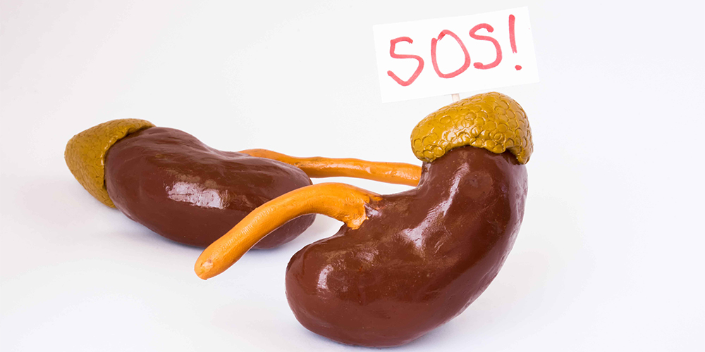 长寿|尿液是健康晴雨表?健康的尿液的标准是什么?赶紧对照自己