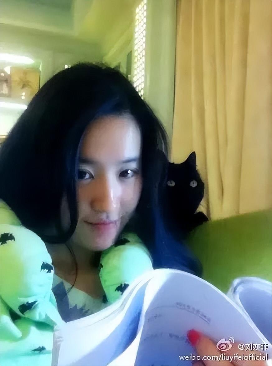刘亦菲|神仙姐姐刘亦菲捡了11年流浪猫,如今她的千万豪宅里养了50只猫