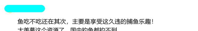 实拍:库页岛成群大鱼躺在草滩,大多半米长一条,网友眼馋