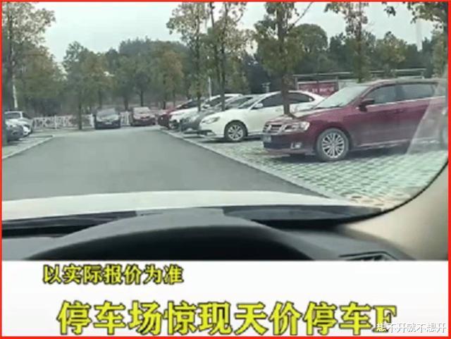 湖南:女子停车5分钟,收费4950元,收费员:自己干了啥不知道?