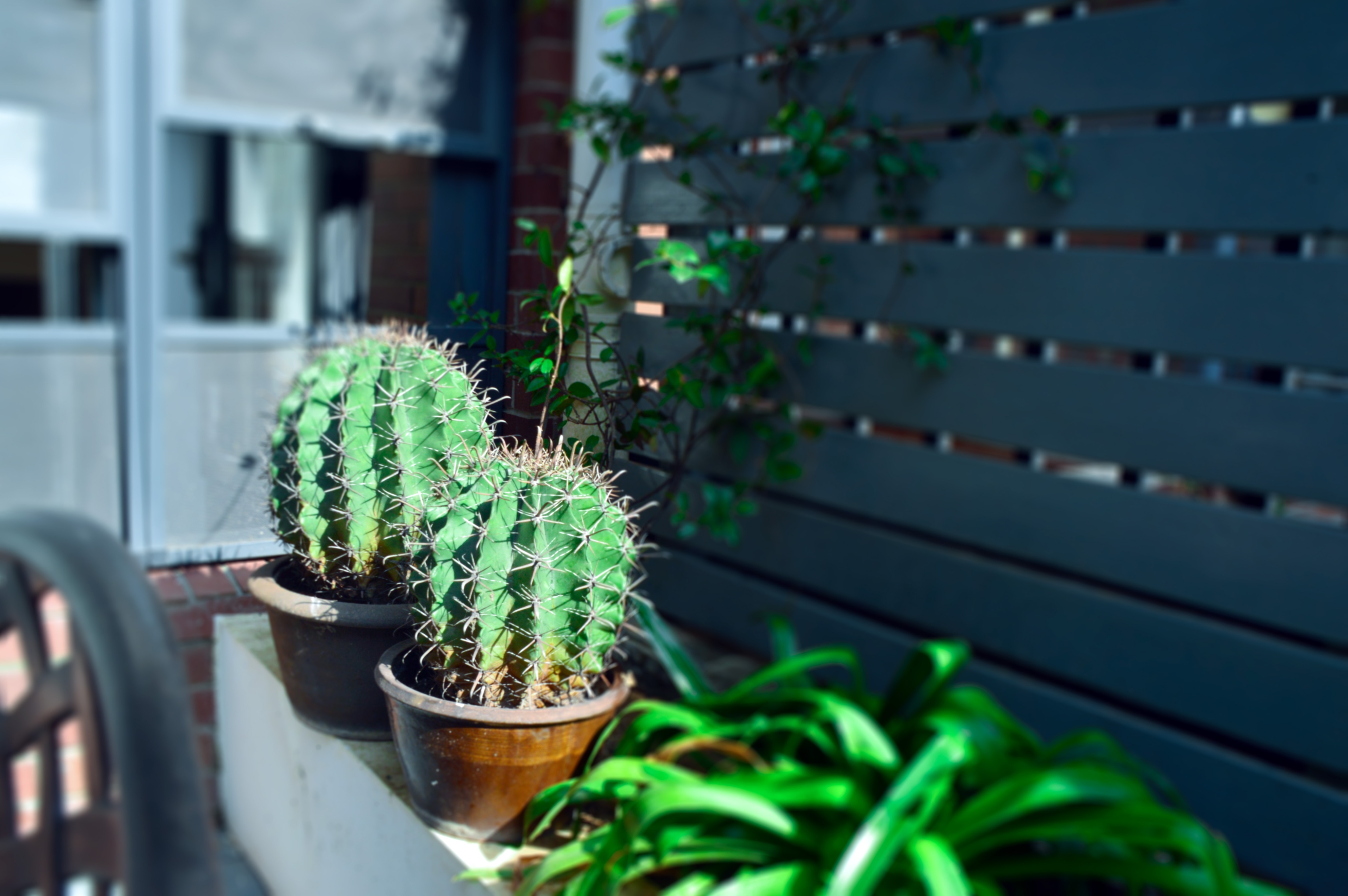 80㎡的创意花园设计,现代庭院的居家小生活