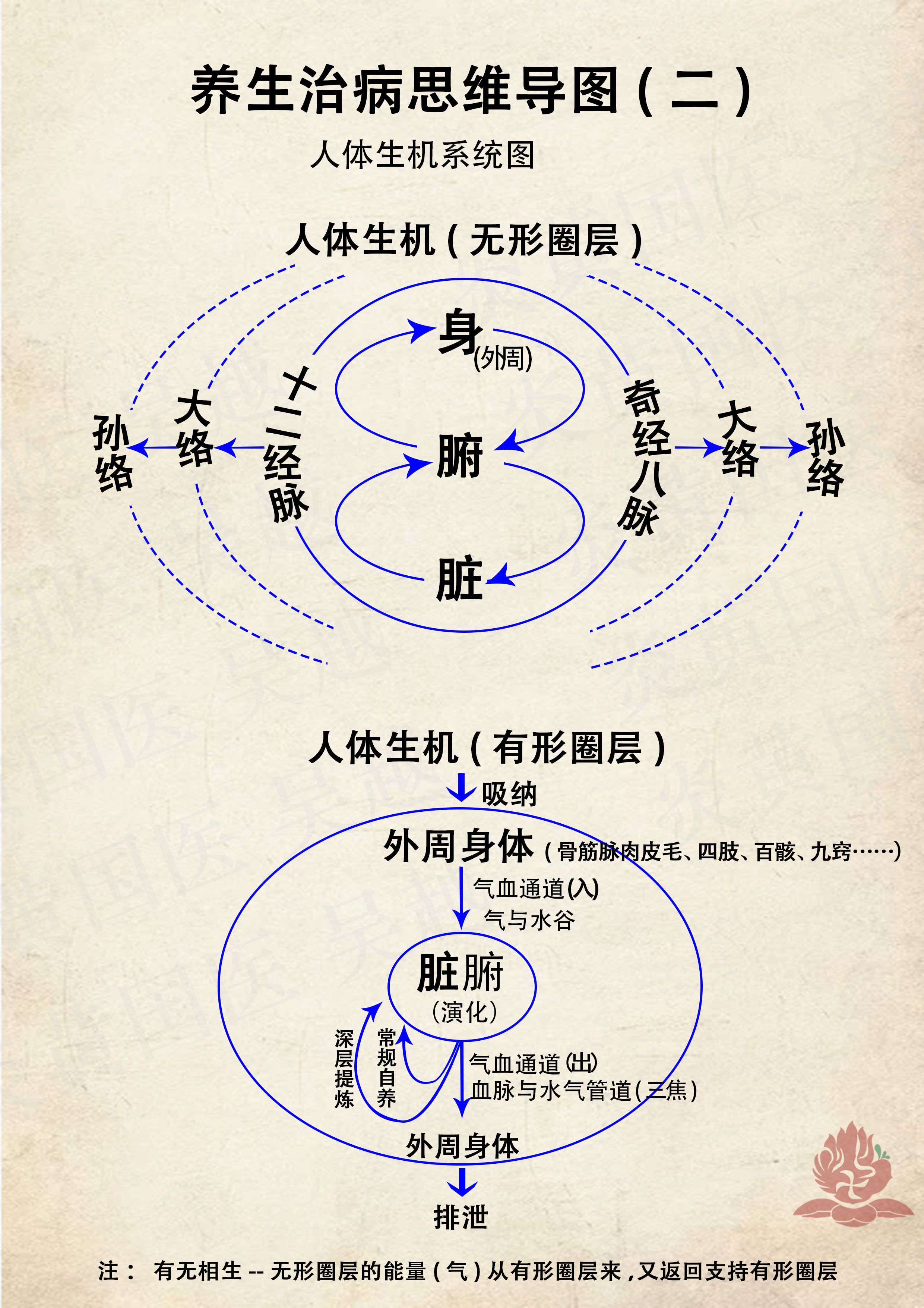 枸杞|“天人合一”大中医十大理念(中医高层思维的重要理念)提纲