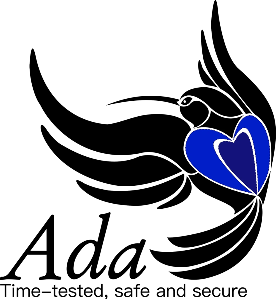 智能手表|她是世界上所有程序员的祖师娘,RTX40核心代号将以她的名字冠名!