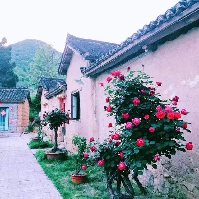 |罗山县山店乡 全力推进全域旅游创建工作