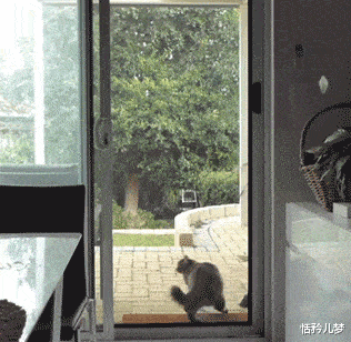 “出差一个月,装修交给婆婆,回来一打开家门愣了”