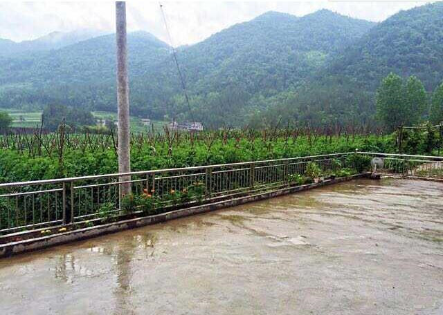 远嫁农村,婆家的婚房是全村最好的,院子大得吓人,厨房你没见过