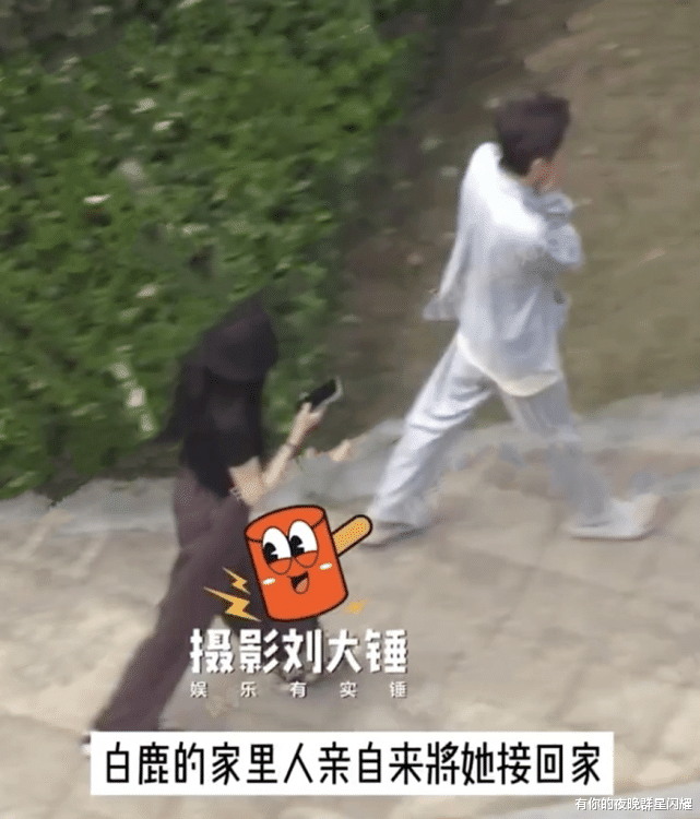 白梦妍|因戏生情？白鹿两次在张凌赫家中过夜，于正疑似辟谣两人恋情