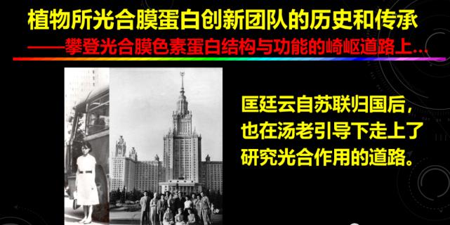 这个海洋中的“霸道总裁”,贡献了全球每年20%的原初生产力
