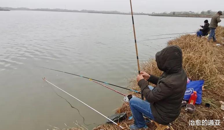 饵料|新手钓鱼为何容易钓上大鱼?多年的潜心研究,终于揭开其中的谜团