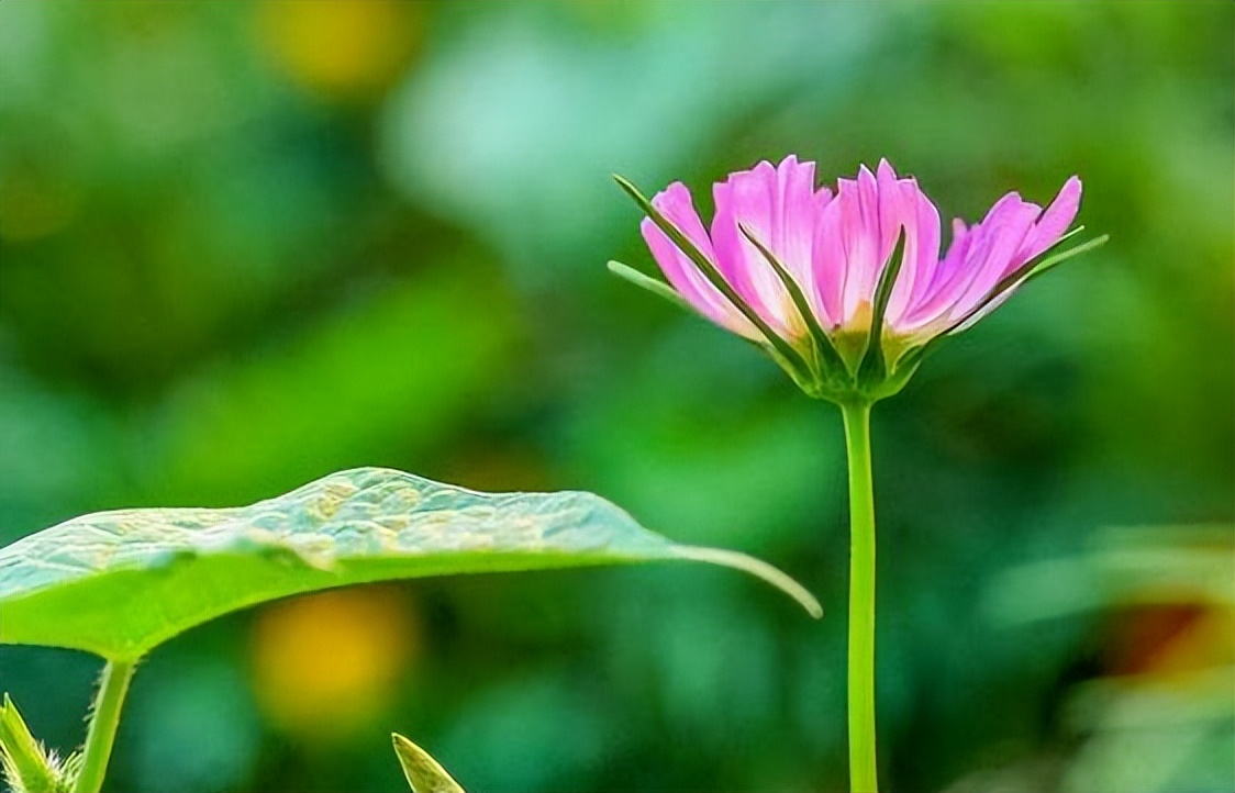 退休|退休时,人品好的人,会体面地告别“圈子”