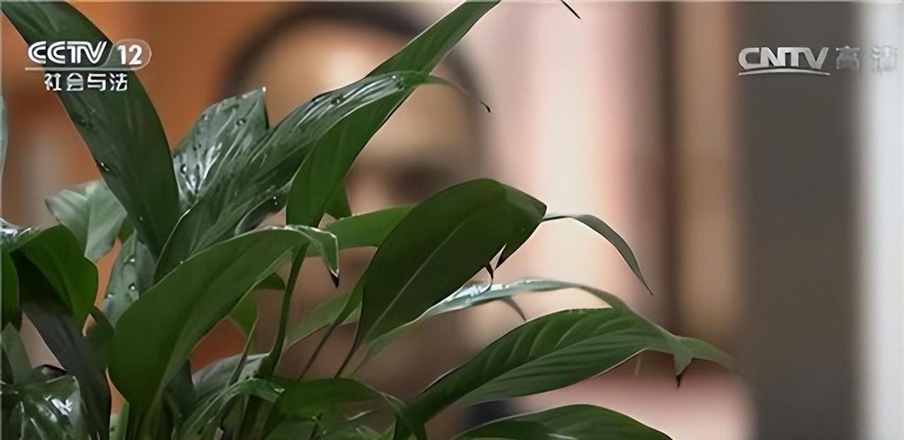 富婆|纪实：深圳男子服务了2位富婆，却倒贴3000，得知真相后马上报警