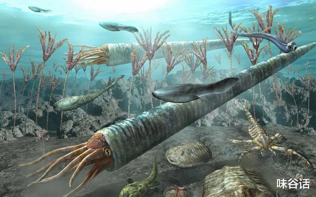 科学家竟通过化石判断恐龙生活习性?化石,不仅仅只是生物遗体!