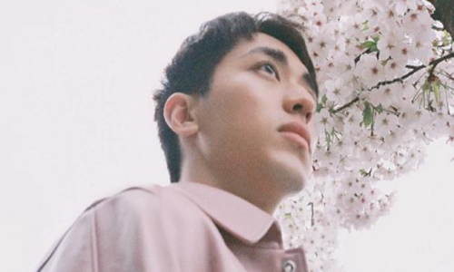 许魏洲|许魏洲妻子真实身份被扒 为其高中学姐张圣樱个人资料介绍