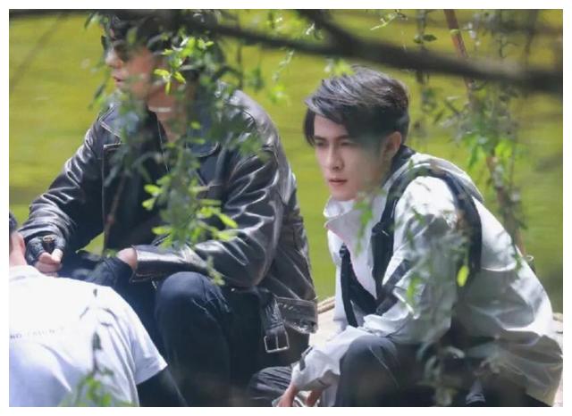 徐磊|季肖冰《重启2》待播，新版解雨臣来了，徐磊要吃“黑花”红利？