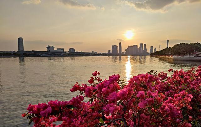 珠江|广东钓鱼人珠江钓起芝麻剑，转身就放掉了，网友：“吃了我看刑”