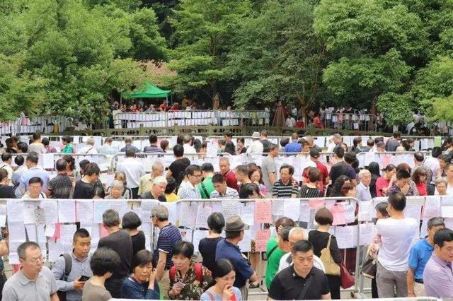 招聘|5000万门槛的飞盘局，高端相亲市场有多乱？