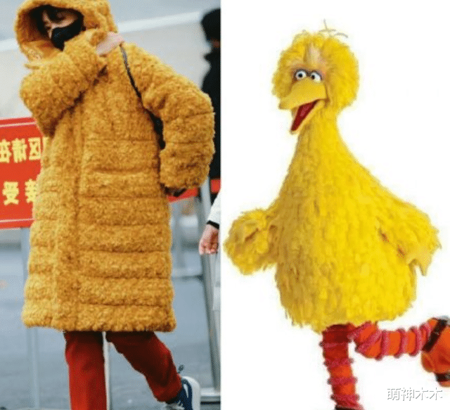 赵丽颖|明星春晚私服太抢眼:宋茜万元大衣似炸鸡,赵丽颖千元外套被吐槽