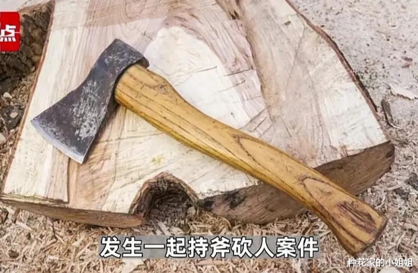 有人“吃醋”却持斧杀人!辽宁一男子被砍身亡,凶手2小时后投案自首!