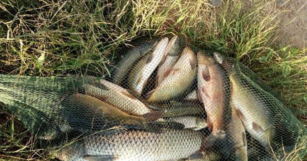 |晚秋野钓，2不选2不钓，天气变冷，钓鱼技巧跟着变