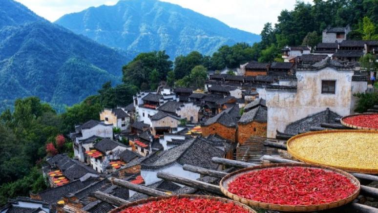 高品质生活|婺源，这座小城，你听说过吗？