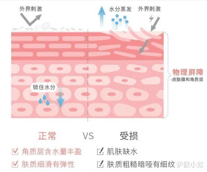 运动 敏感肌肌肤屏障受损攻略，5+5+4护肤知识概括，一文了解