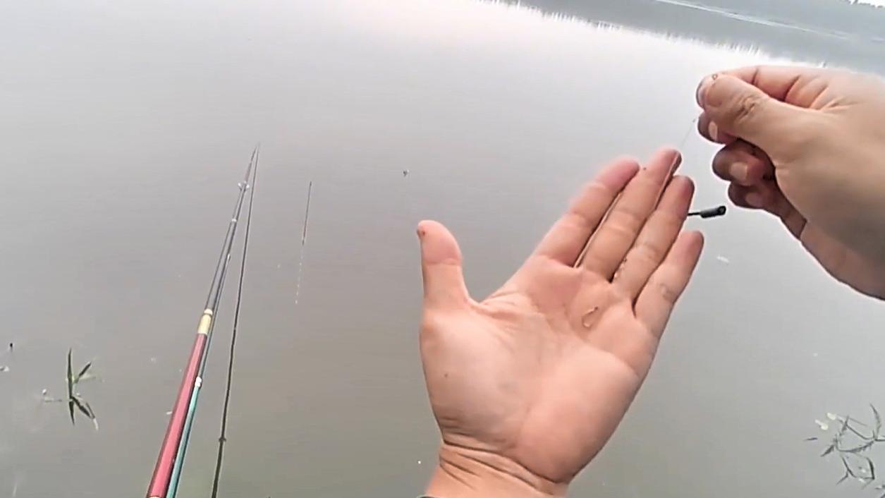 饵料|子线对钓鱼有什么影响？原来钓法、目标鱼不同，子线长短也不同