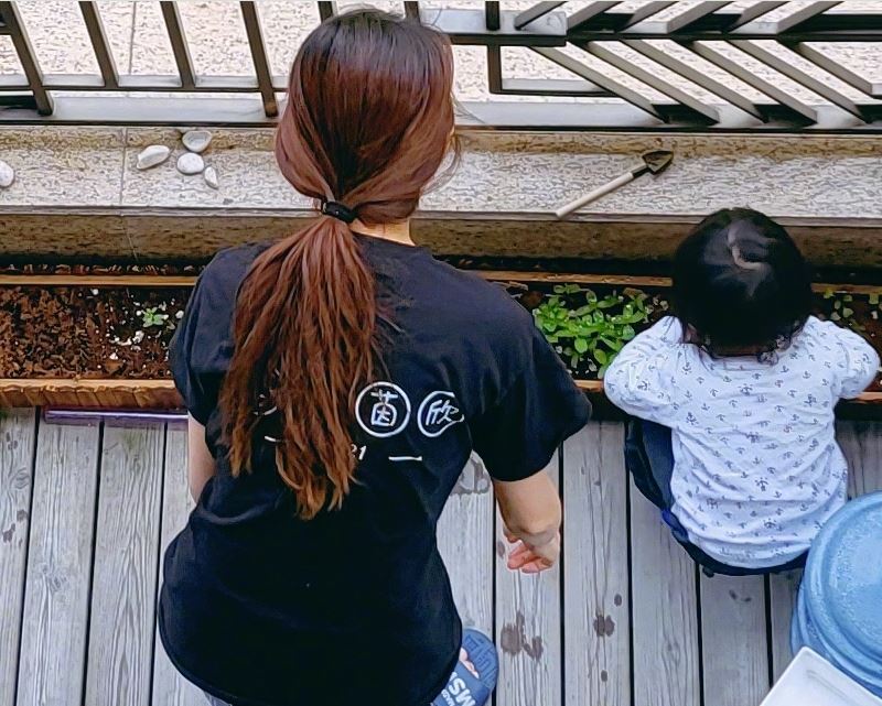 蔡少芬|张晋发文她开始种菜了 老婆蔡少芬、郑恺、陈法蓉纷纷留言