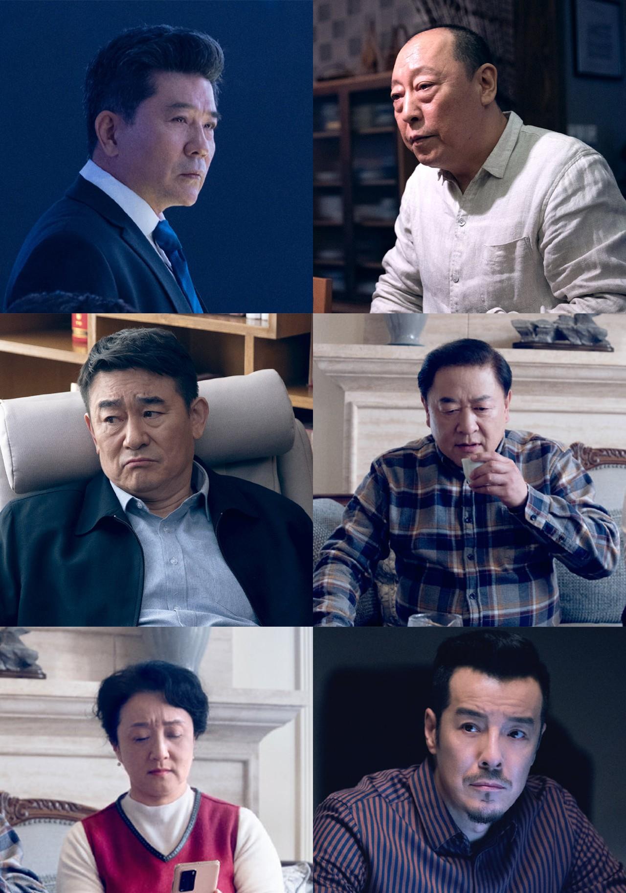 宋佳|行业剧王炸，靳东、宋佳、田雨领衔，辛芷蕾、朱珠作配，戏骨云集