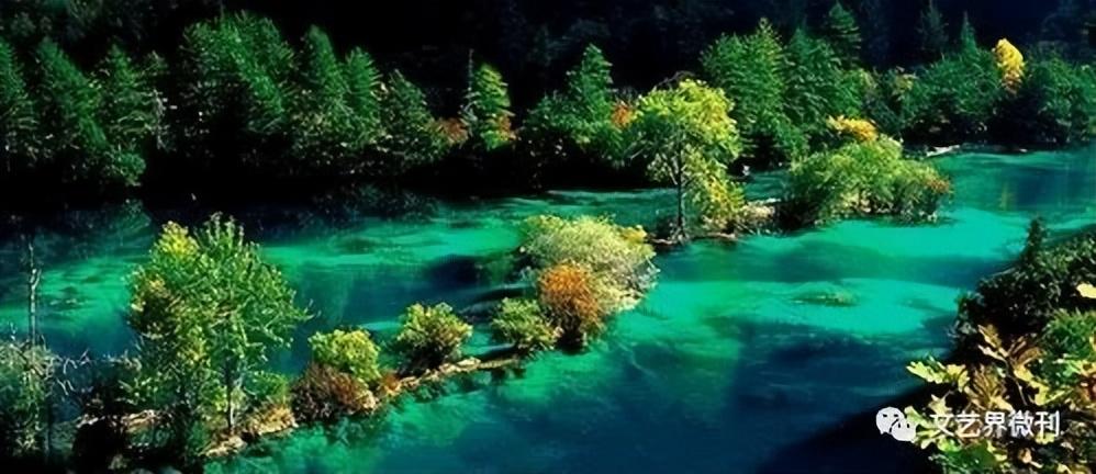 |郭进拴|绝美的坝上