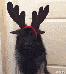 万梓良|为老不尊?万梓良商演紧搂伴舞不撒手,女生满脸嫌弃拒不配合