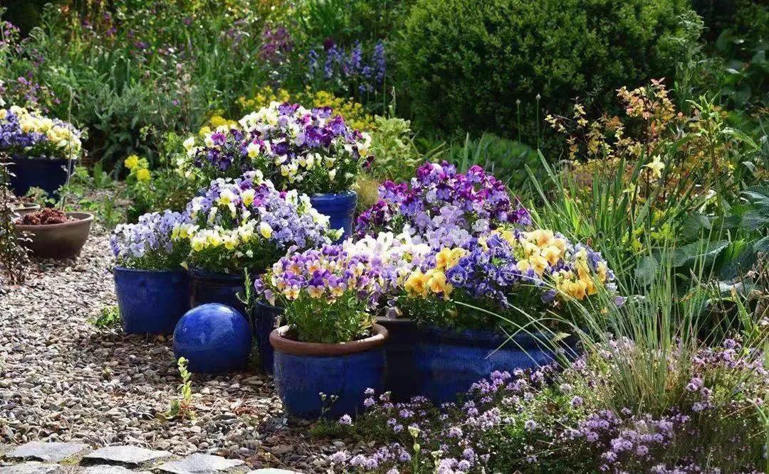 花园风格的重要组成部分——植物风格,该如何搭配呢?