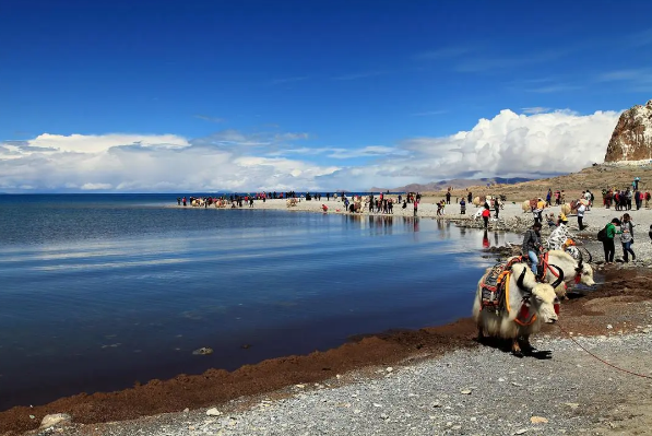 西藏|神圣的西藏具有自然的景色，湖泊都各有特色，适合解压的观光之地
