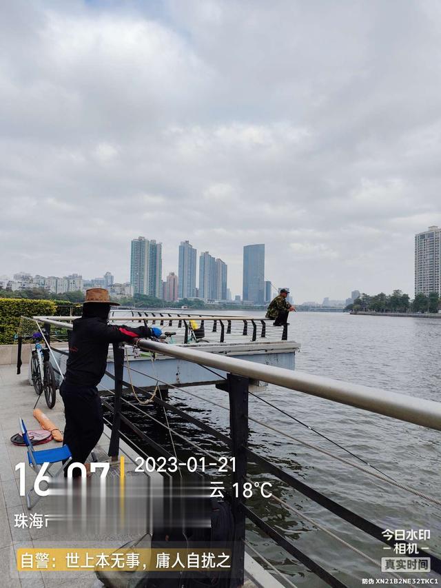 |麦鲮数尾刚显名,大物一尾更惹火……