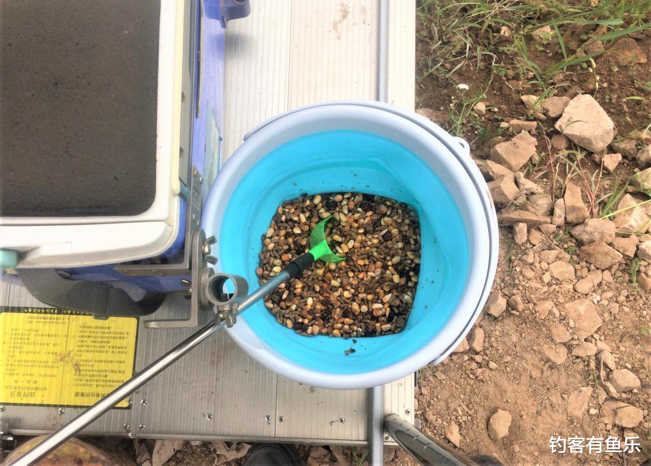 桐乡|秋天钓鲤鱼,先不要急着下竿,找好钓位、打好窝才是关键