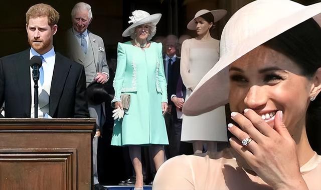 威廉|哈里梅根婚礼晚宴私照公开,不见威廉凯特身影,查尔斯欲划清界限