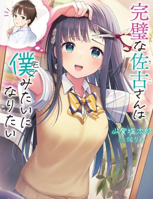 |轻小说完美的佐古酱第1卷封绘公开 年级第一的美少女主动爱上我