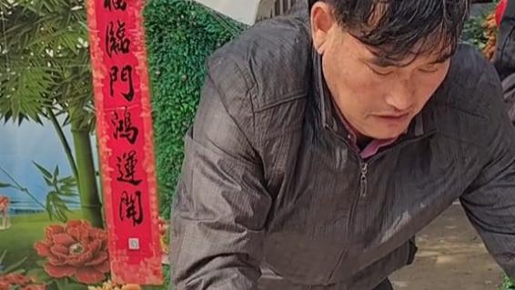 朱之文|陈萌晒双胞胎8周彩超，大衣哥为她亲自摘棉花，步履蹒跚令人心酸