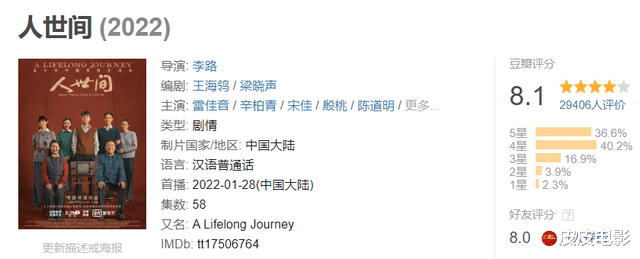 人世间|《人世间》演技最好的10位演员，宋佳、殷桃未进前三，萨日娜第二