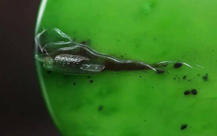 |和田玉手镯为何会出现小黑点？这种手镯是假的吗？别被表面所欺骗